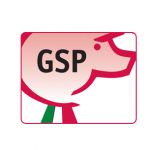 Il Gran Suino Padano sponsor della nazionale italiana di rugby