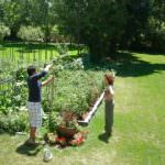 Consumi: Coldiretti, orto batte Playstation per 60% bambini