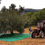 Lavoro, Confagricoltura: con l'avviso comune raggiunta una buona intesa tra le parti sociali