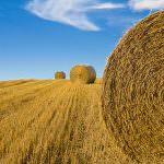 G8 Agricolo: Cison di Valmarino (TV) piccolo comune di 2553 abitanti nel giorno della Festa Nazionale dei Piccoli Comuni