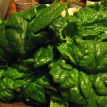 Noci, spinaci e fagiolini: la dieta "verde" contro asma ed allergie