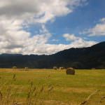 Agricoltura Europea: I giovani chiedono possibilità non sussidi