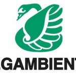 Roma: Febbre suina - L'allevamento intensivo è riconosciuto come causa scatenante delle pandemie