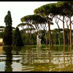 Roma, ancora manifesti inneggianti potature di migliaia di alberi