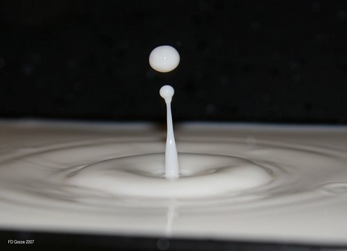 Confagricoltura su proposta latte: “Primi timidi segnali di adeguamento nel settore lattiero caseario”