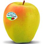 Mela Val Venosta alimenta la salute