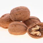 Germano reale alle noci con salsa all'uva