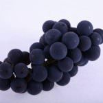 Succo d'uva contro i danni al DNA