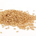 Presentata la prima birra prodotta col farro delle Marche