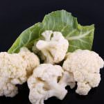 Castellaneta (TA): Cia - Progetto "Scuola in Fattoria"