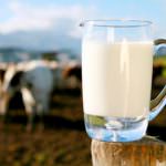 Coldiretti, allevatori: "Sciopero del latte"