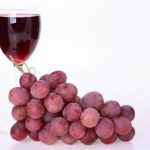 Potenza: Presentate e discusse le bozze dello statuto e del regolamento generale dell'enoteca regionale