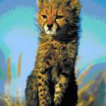 Parchi d'Africa e Fotografie di Gianni Maitan