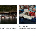 Pesca, Oceana: bene l'arresto di tre proprietari di pescherecci illegali nel sud Italia