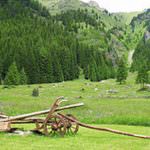 Bruxelles: Apertura del Forum dell'agricoltura montana