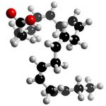 Omega 3: pesce ed olio contro il cancro