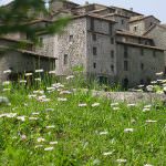 Psr: Confagricoltura e Regioni discutono su come spendere i fondi