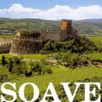 Raggiunta l'intesa tra la casa vitivinicola di Verona e l'importante multinazionale americana