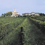 Garda Classico, a Vinitaly il gusto della Valtènesi