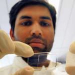 Un nuovo test per predire le metastasi del tumore al seno