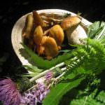 La rassegna enogastronomica CocoFungo giunge alla sua 33esima edizione