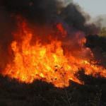 Bergamo: 250.000 euro per interventi di difesa dagli incendi boschivi