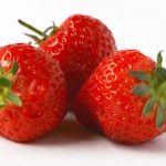 42° «Mostra della fragola, dei fiori e dei prodotti della nostra terra»