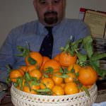 Campania: Bevande al gusto di frutta? No grazie!