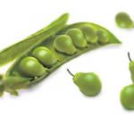 Coldiretti: "In diminuzione le semine Ogm in Europa"