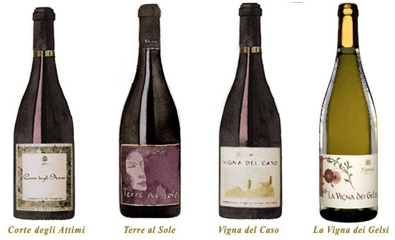 Azienda Vinicola Fiorini