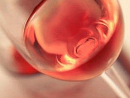 Vini rosati: una vittoria della tradizione e della qualità dei produttori italiani