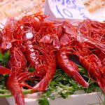 Gamberi crudi, pericolo parassiti