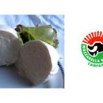 Un nuovo scandalo alimentare: mozzarella di "bufala"