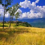 Un programma serio per l'agricoltura italiana