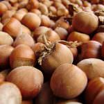 Salute: Coldiretti, allarme per via libera a nocciole tossiche