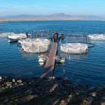 Bruxelles: Nuovo impulso al settore dell'acquacoltura