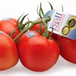 USA: Eurofresh Farms si aggiudica il premio per il miglior pomodoro 2009