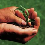 Ue: I 27 divisi sul futuro del bilancio europeo per le politiche agricole europee dopo il 2013