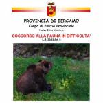 Bergamo: Rapporto 2008 sul soccorso alla fauna in difficoltà