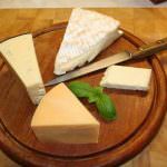 Lecce: Preoccupazione per la presenza di diossina negli alimenti lattiero caseari