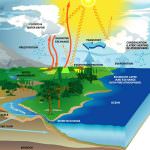 Non perdetevi in un bicchier d'acqua