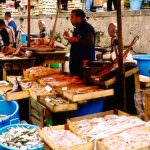 Da pesce a biogas: ecco il ciclo dell'energia