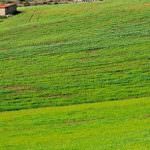 Agrofarma promuove l'agricoltura sostenibile e la lotta alla fame nel mondo