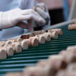 Corticeria Amorim insignita del Corporate Register Reporting Awards 2008