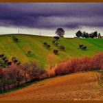 Piemonte: La Cia di Alessandria organizza una nuova iniziativa sulla stampa agricola