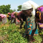 Paesi in via di sviluppo: Tempi non troppo lunghi per la carta etica