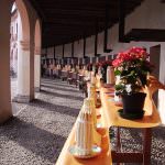 Spazio ai sapori tipici in Rotonda. Al via la 42esima Mostra dell'Asparago di Badoere IGP