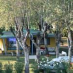 Lido di Spina, Comacchio (FE): Turismo - Perché non godersi una meritata vacanza di relax immersi nel verde?