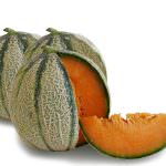 Al via la stagione 2009 del melone di Pachino IGP