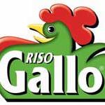 Premio Gallo Risotto dell'anno